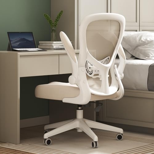 Hbada Office Chair Ergonomic Desk Chair, Office Desk Chairs with PU Silent Wheels, Breathable Mesh Computer Chair with Adjustable Lumbar Support, Flip-up Armrests, Tilt Function, Grey