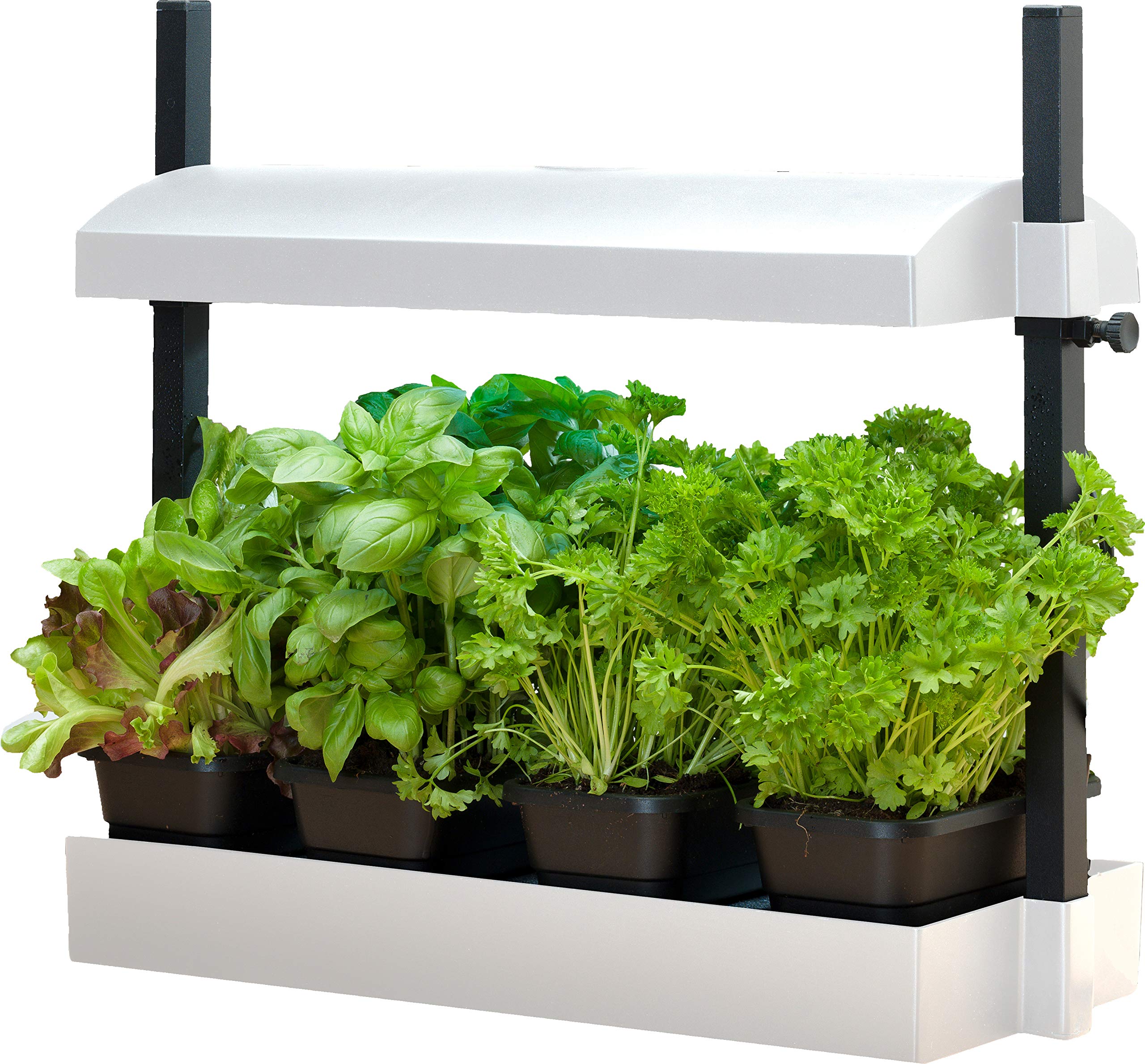 SunBlaster SL1600199 T5HO Micro T5 Grow Light Garden w/Reflector & 4 Seedling Trays for Flower, Herbs, and Veggie Seed Starting or Plant Propagation